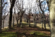 CASTEL REGINA (1424 m) e PIZZO CERRO ( 1285 m) ad anello da Catremerio il 14 dicembre 2017 - FOTOGALLERY